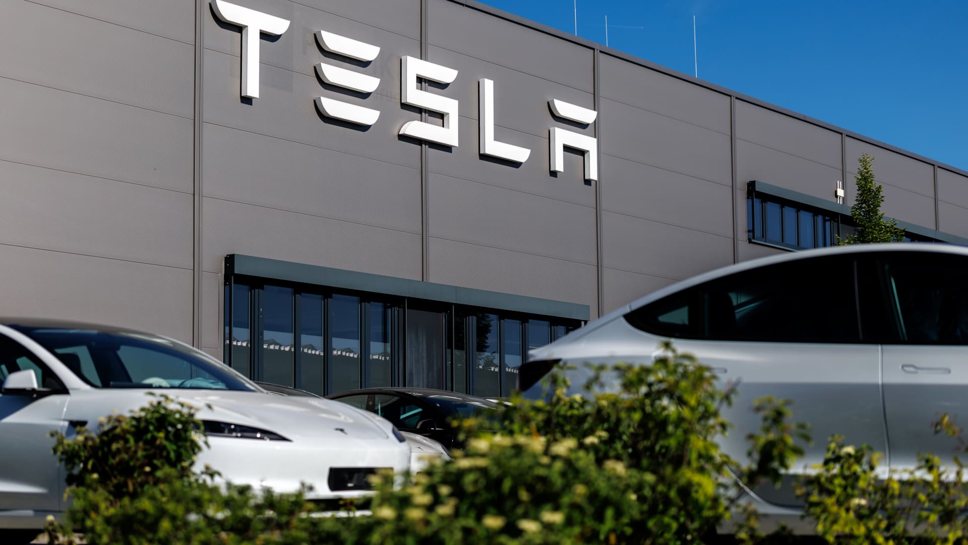 Tesla earnings face elevated expectations as options price smaller move