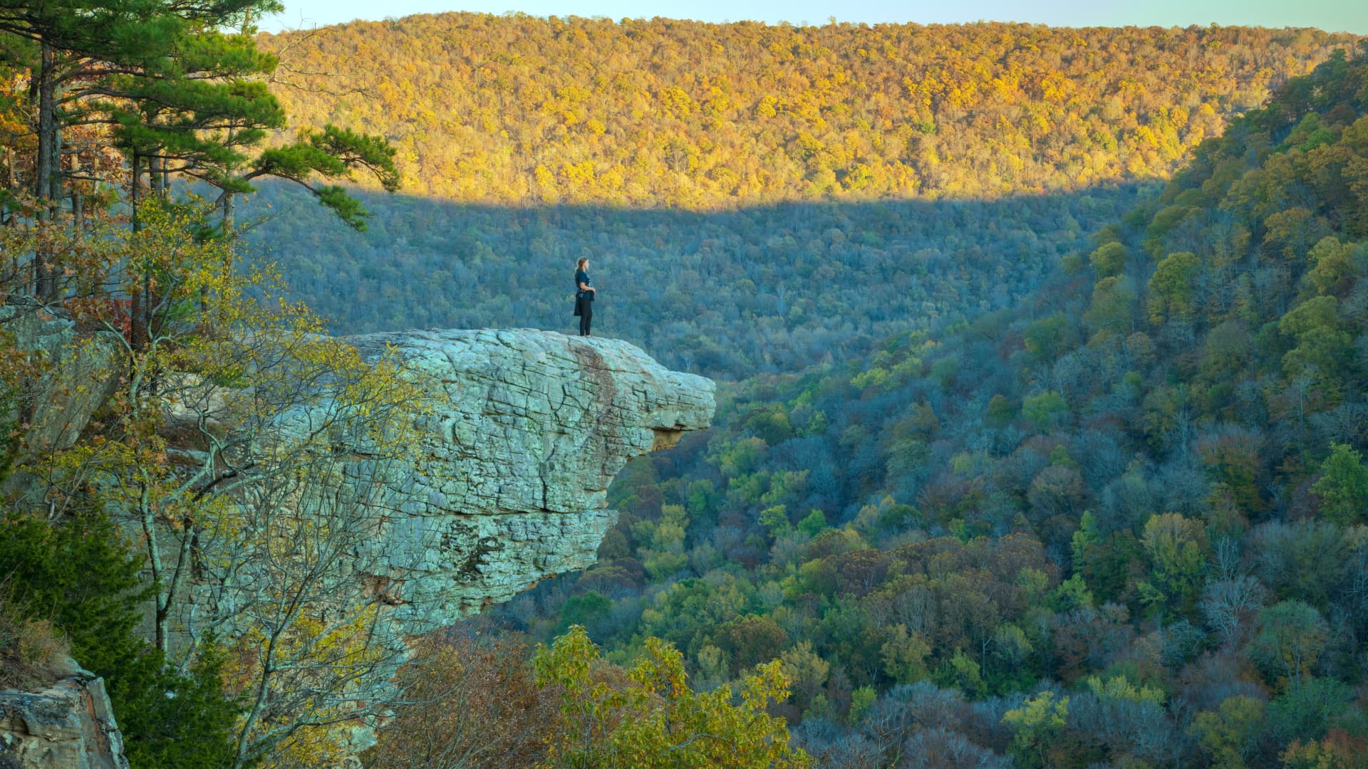 Arkansas posts largest gain in CNBC state business rankings