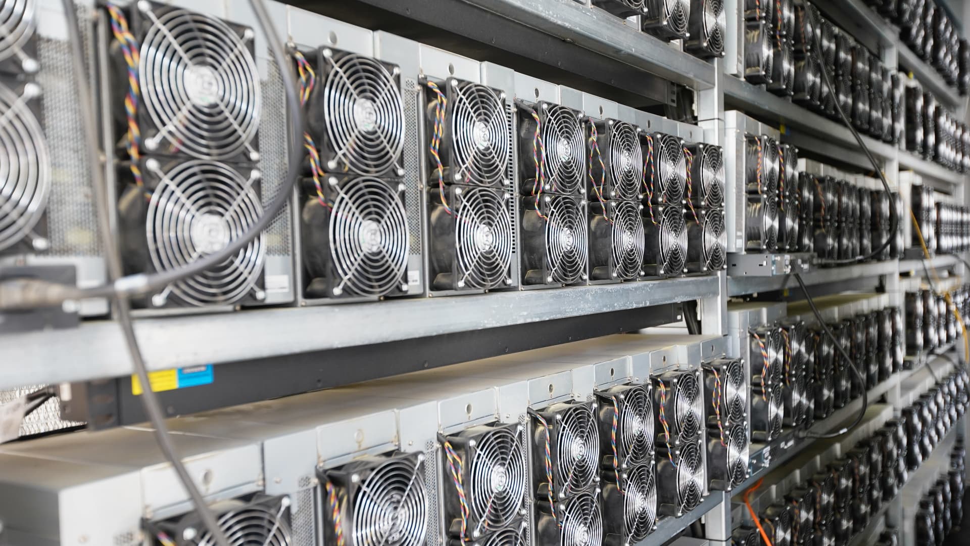 Crypto stocks rally as AI infrastructure names come under pressure