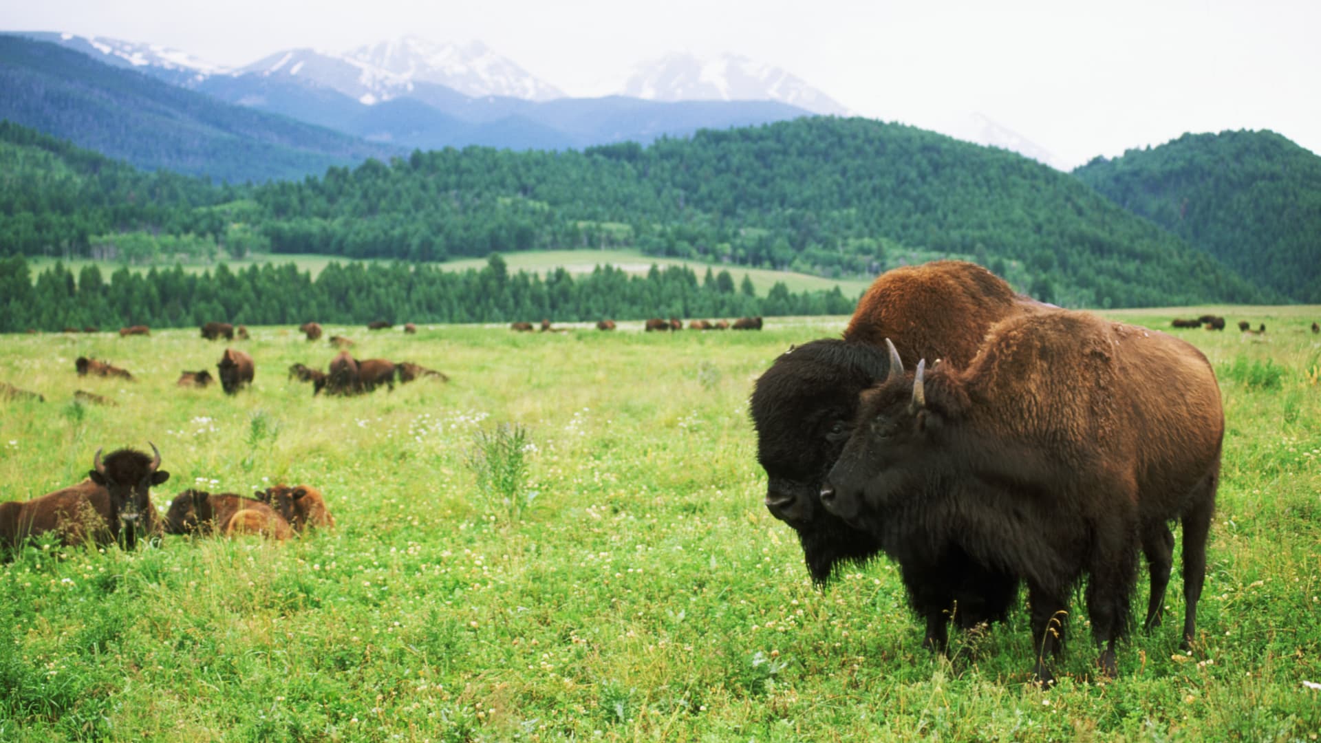 Land conservation tax breaks gain support as IRS pursues abusive deals